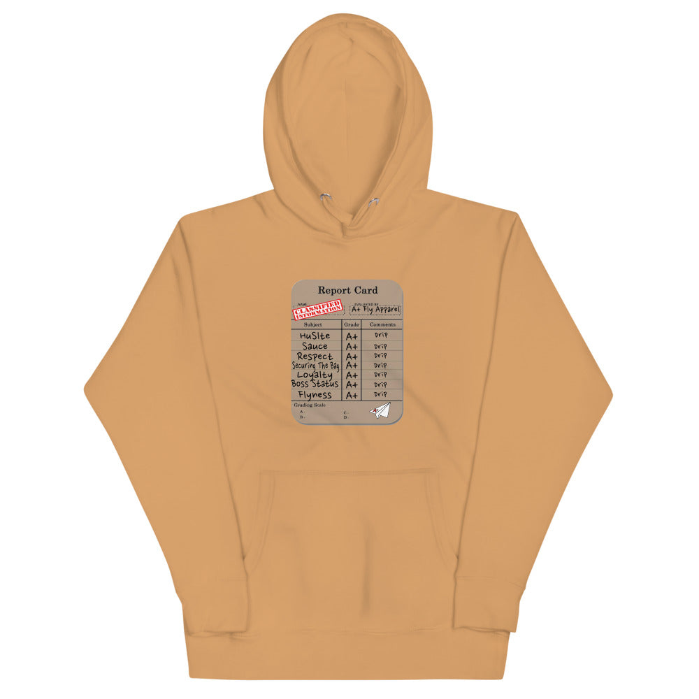 A+Fly Report Card Hoodie